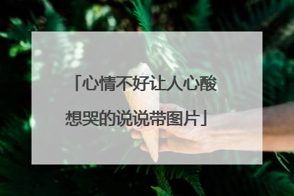 心情不好让人心酸想哭的说说带图片