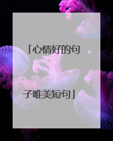 心情好的句子唯美短句