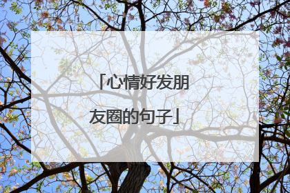 心情好发朋友圈的句子