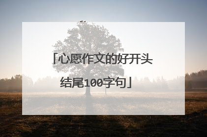心愿作文的好开头结尾100字句