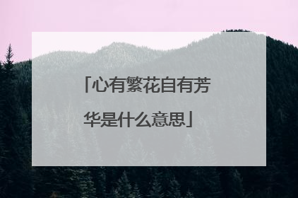 心有繁花自有芳华是什么意思
