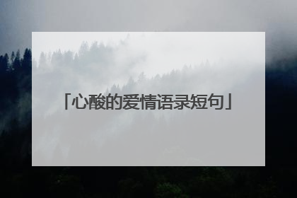 心酸的爱情语录短句