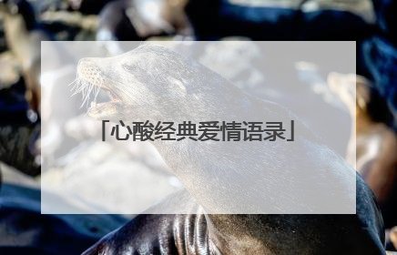 心酸经典爱情语录