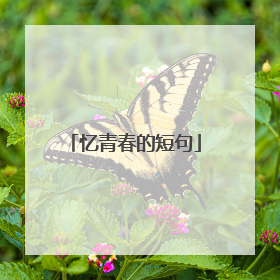 忆青春的短句