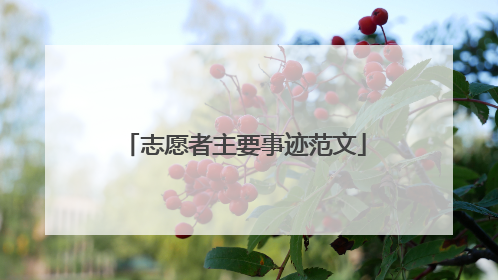 志愿者主要事迹范文