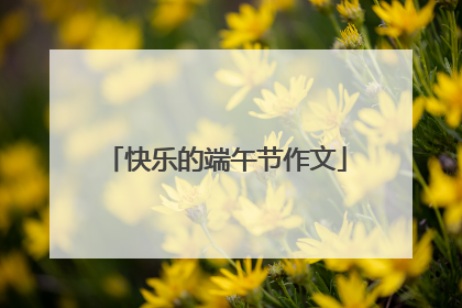 快乐的端午节作文