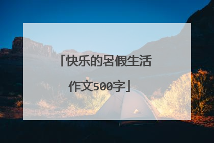 快乐的暑假生活作文500字