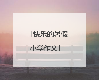 快乐的暑假小学作文