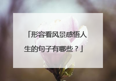 形容看风景感悟人生的句子有哪些?