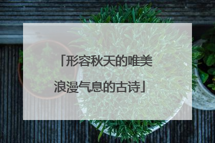形容秋天的唯美浪漫气息的古诗