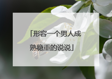 形容一个男人成熟稳重的说说