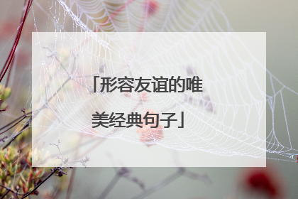 形容友谊的唯美经典句子