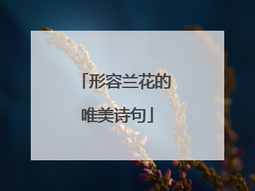 形容兰花的唯美诗句