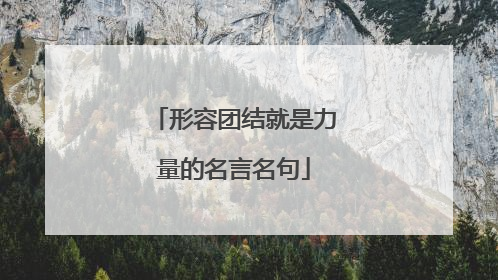 形容团结就是力量的名言名句