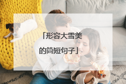 形容大雪美的简短句子
