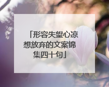 形容失望心凉想放弃的文案锦集四十句