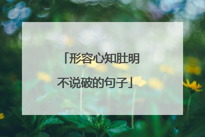 形容心知肚明不说破的句子