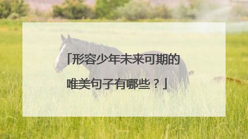 形容少年未来可期的唯美句子有哪些?
