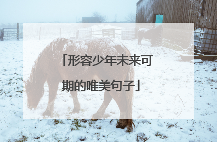 形容少年未来可期的唯美句子