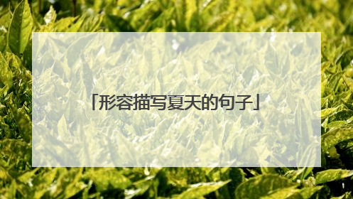 形容描写夏天的句子
