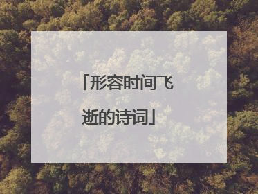 形容时间飞逝的诗词
