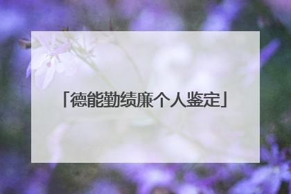 德能勤绩廉个人鉴定