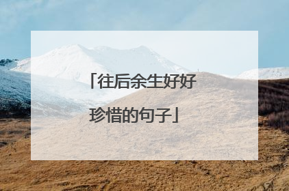 往后余生好好珍惜的句子