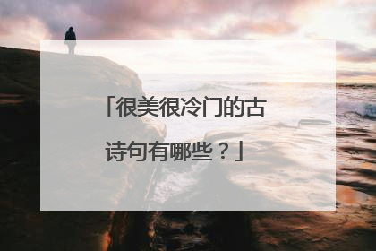 很美很冷门的古诗句有哪些？