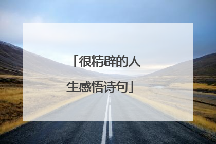 很精辟的人生感悟诗句