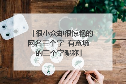 很小众却很惊艳的网名三个字 有意境的三个字昵称