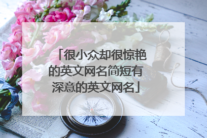 很小众却很惊艳的英文网名简短有深意的英文网名