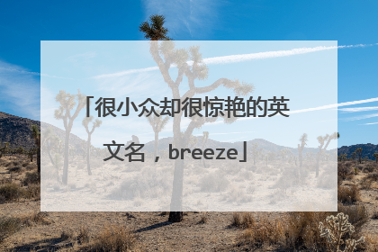 很小众却很惊艳的英文名，breeze