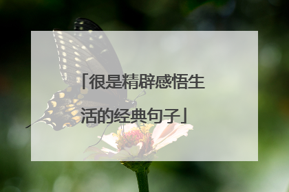 很是精辟感悟生活的经典句子