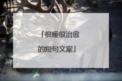 很暖很治愈的短句文案