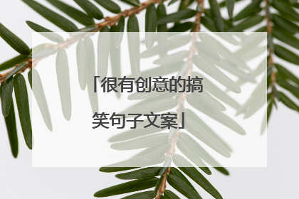 很有创意的搞笑句子文案