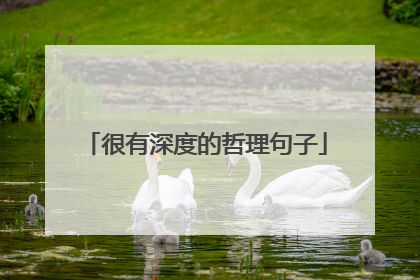 很有深度的哲理句子