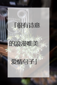 很有诗意的浪漫唯美爱情句子