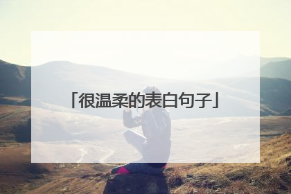 很温柔的表白句子