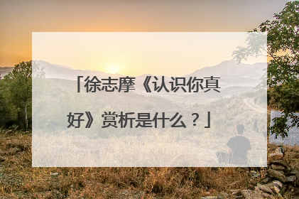 徐志摩《认识你真好》赏析是什么？