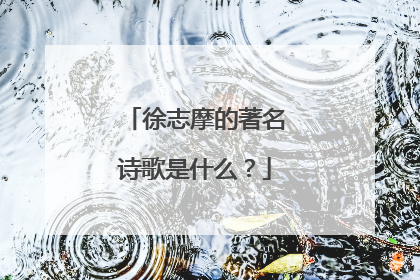 徐志摩的著名诗歌是什么？