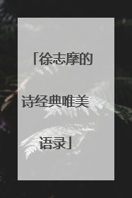 徐志摩的诗经典唯美语录