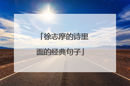 徐志摩的诗里面的经典句子