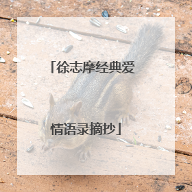 徐志摩经典爱情语录摘抄