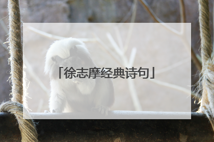 徐志摩经典诗句