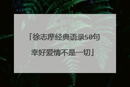 徐志摩经典语录50句 幸好爱情不是一切