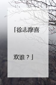 徐志摩喜欢谁?