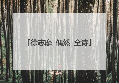 徐志摩 偶然 全诗