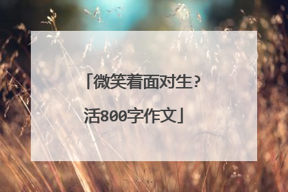 微笑着面对生?活800字作文