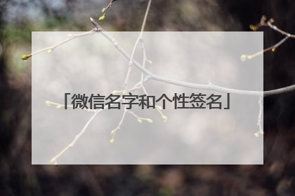 微信名字和个性签名