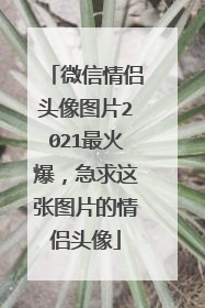 微信情侣头像图片2021最火爆，急求这张图片的情侣头像